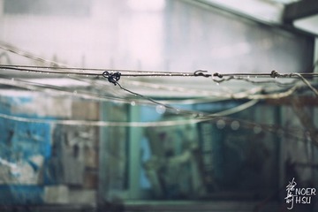 IMG_3996副本.jpg
