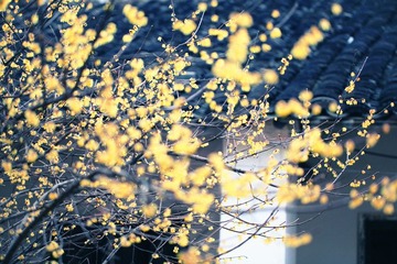 IMG_5340副本.jpg