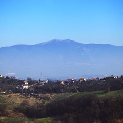 IMG_6147副本.jpg