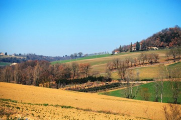 IMG_6157.jpg