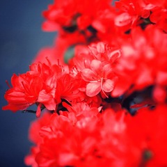 IMG_8160副本.jpg