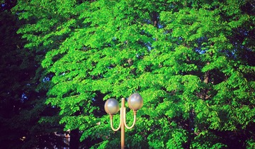 IMG_9233副本.jpg