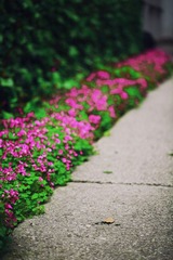 IMG_9510副本.jpg