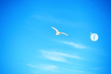 IMG_9184副本.jpg