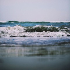 IMG_9402副本.jpg