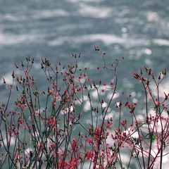 IMG_0387 copy.jpg