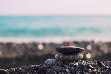 IMG_0488 copy.jpg