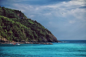 IMG_0418 copy.jpg