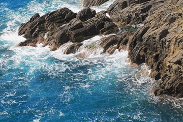 IMG_0697 copy.jpg
