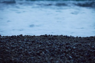 IMG_0851 copy.jpg