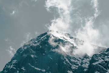 1000016486