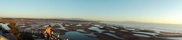 DSC00920_