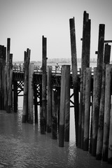 _DSC6311