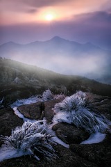 苍山雪