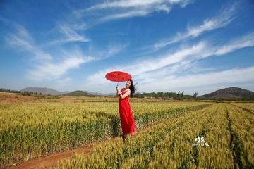 IMG_0115l2