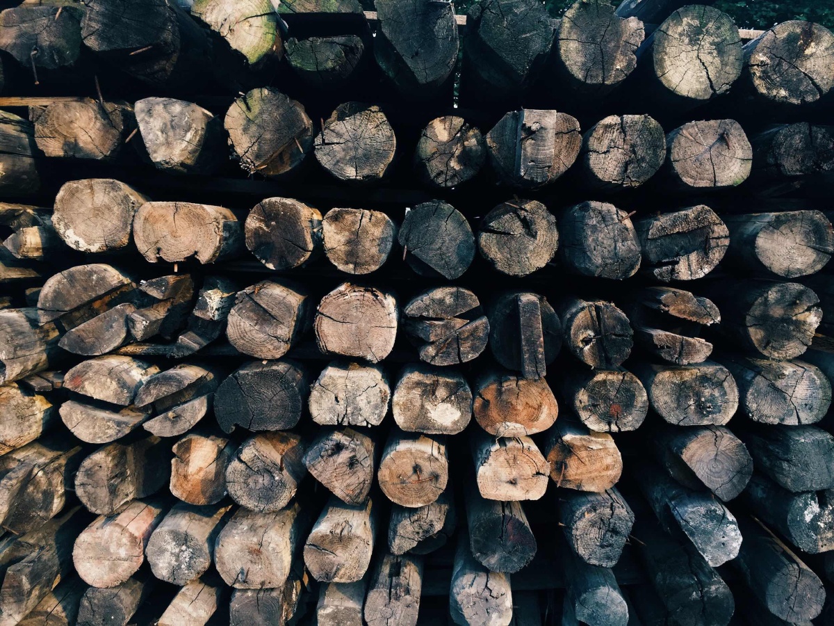 百家记忆现正出售 - 疯帽子船长 - 图虫