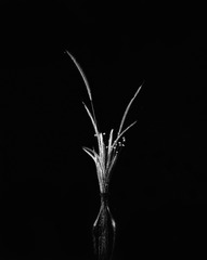 4X5静物练习