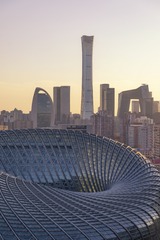 玫瑰