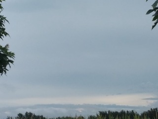 1084717