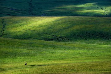 _LX77402