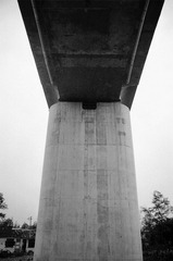 81290023