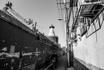 L1001386