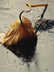 1103809