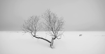 6C8B26FB-E0DD-4538-8103-C5F640D23058/L0/001
