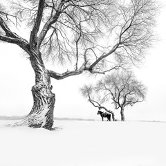 B71CD2A5-FE63-4435-9D56-02F3F1C62779/L0/001