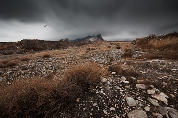 “_MG_8407”