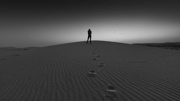 “360A4918”