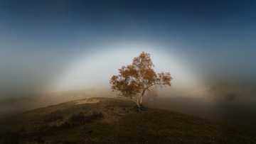 “D87R0376”