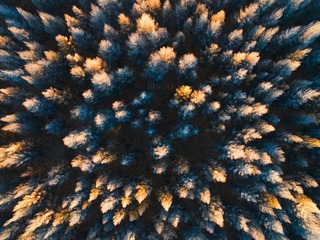“DJI_0297”