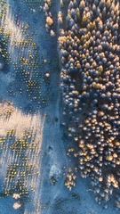 “DJI_0253”