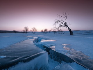 14271