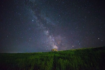 星马