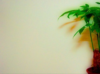 20110526-_DSC2480