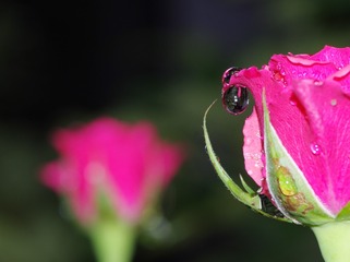ART_4860
