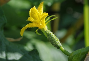 ART_4991
