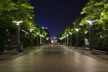 ART_5333-a