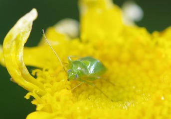 GLQ_5982