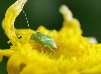 GLQ_5980