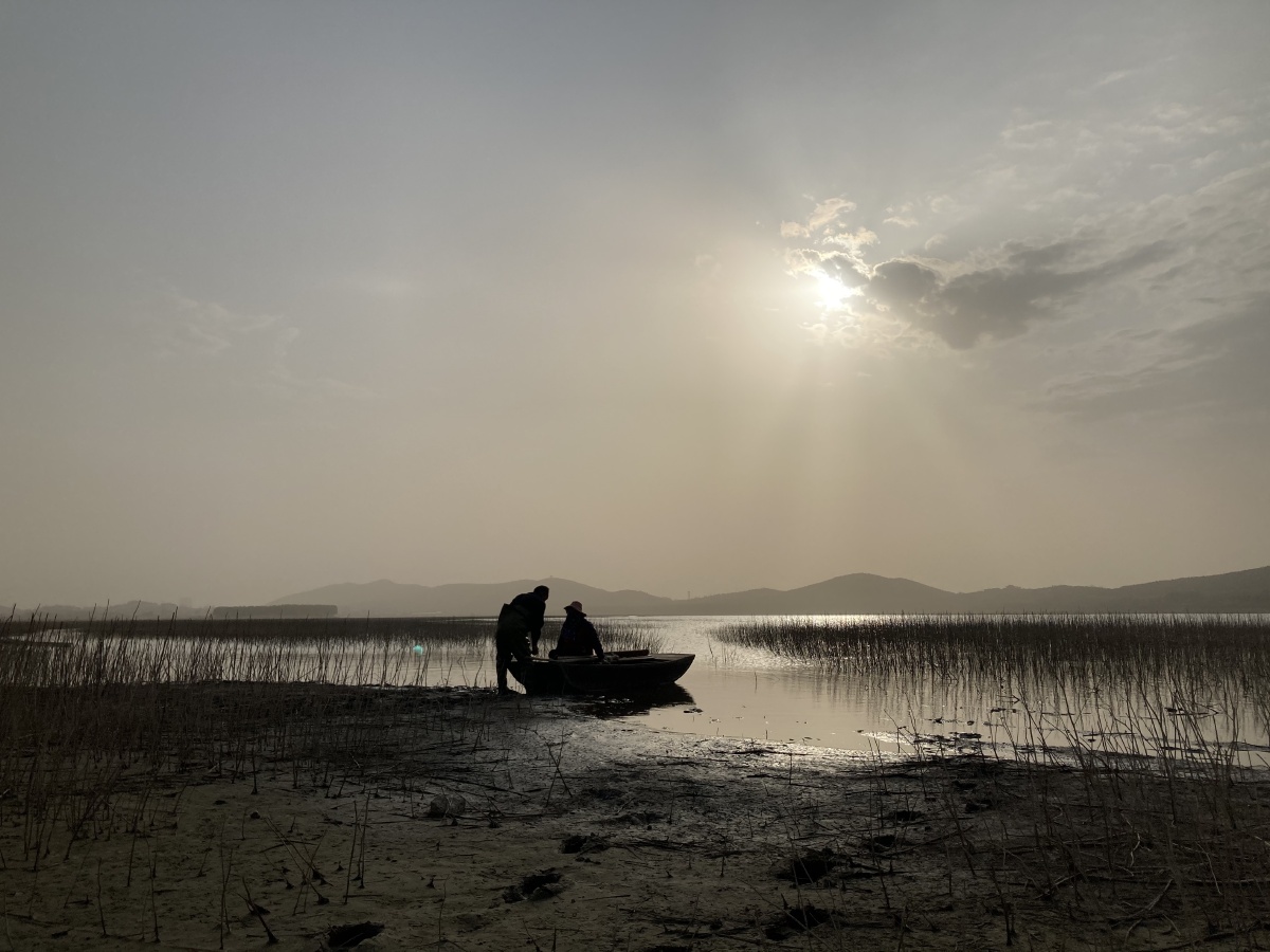 手机摄影淮北小景点化家湖与和村梨花