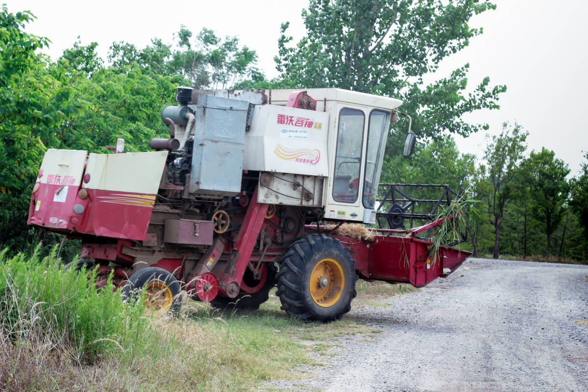 雷沃-谷神-麦客"联合收割机图赏时间:19/06/05 坐标:淮北市