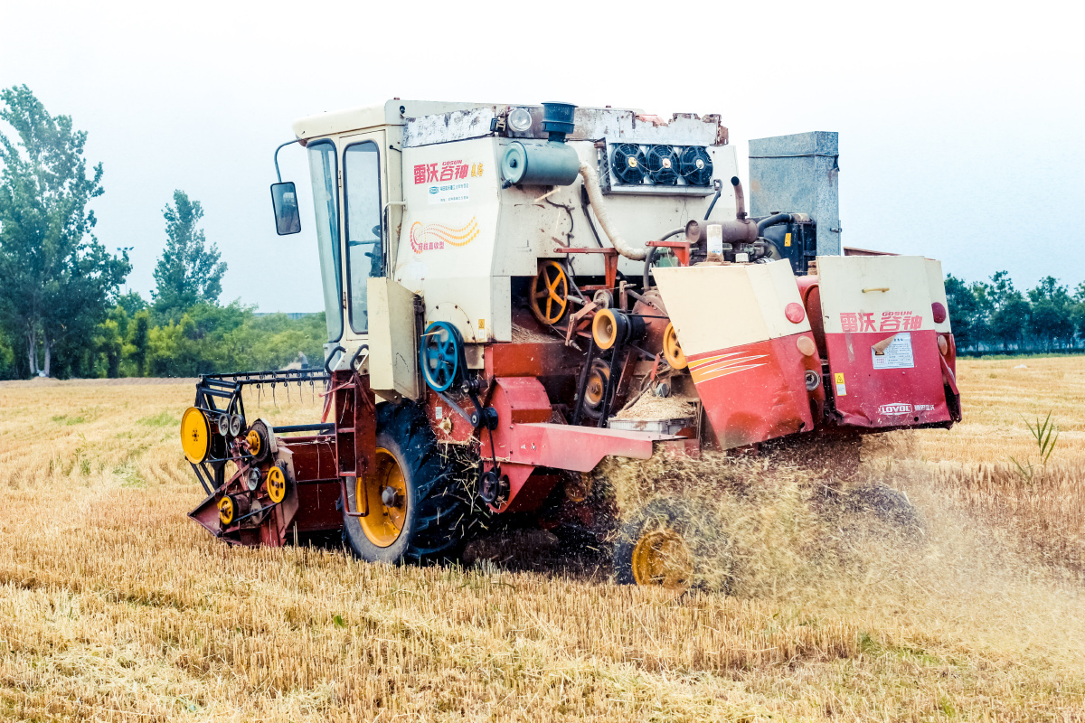 雷沃-谷神-麦客"联合收割机图赏时间:19/06/05 坐标:淮北市