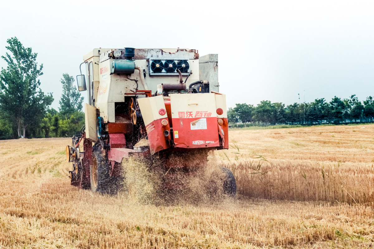 雷沃-谷神-麦客"联合收割机图赏时间:19/06/05 坐标:淮北市