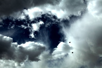 IMG_2788_