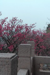 962B803F-1255-4207-BE20-7690F87F77B0/L0/001