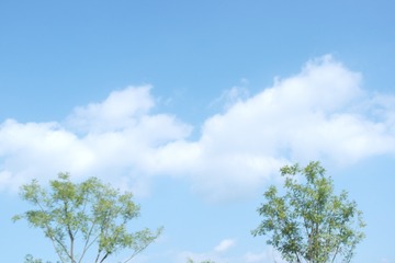 1097C5C3-CAE3-4848-816D-A52C0B0A9F01/L0/001