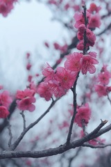 B7BB7D3A-6148-4D4D-B025-C91E002A4098/L0/001